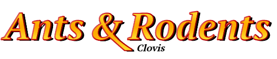 Clovis Ant Exterminator & Rodent Control Company Logo